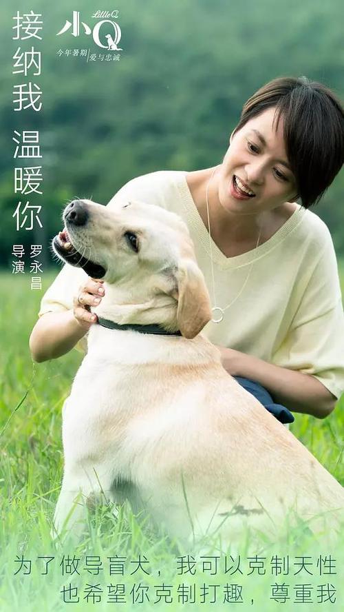 巴黎卢米埃尔大学物理学文凭证书